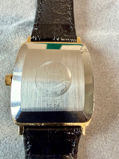 Montre OGIVAL Suisse Automatique NOS noir 25 rubies 1980