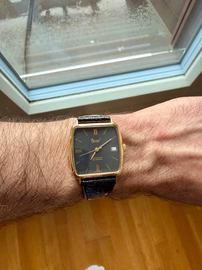 Montre OGIVAL Suisse Automatique NOS noir 25 rubies 1980